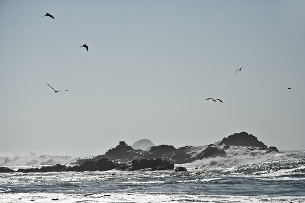 Oceano pacifico